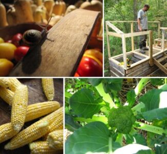 Composting Toilet Construction and No-Till Gardening Details Image